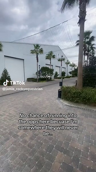 This isn’t abt equestrians! #fyp #foryoupage #showjumping #fyp #trendingsong #foryoupage❤️❤️ #trending #xyzbca #viraltrend #goviral #horsesontiktok #fyp