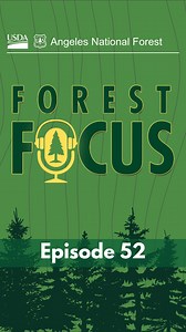 🔊NEW Forest Focus Episode: Listen to a special clip from “For the Frogs.” 🔗Listen to the Full Episode: https://bit.ly/3OFKTKK Discover how the forest and partners are working together to protect endangered mountain yellow-legged frogs, a vital yet vulnerable species in the Angeles National Forest. From habitat restoration to innovative recovery efforts, we dive into the challenges and triumphs of preserving biodiversity before, during, after a wildfire. | Angeles National Forest