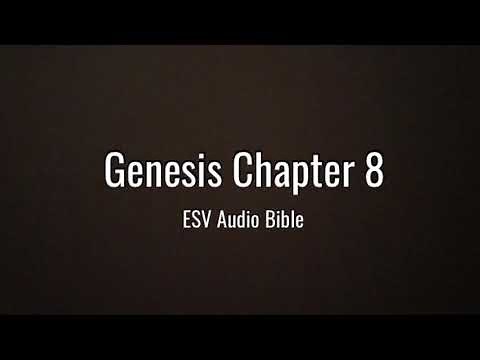 Genesis Chapter 8 (ESV Audio Bible)
