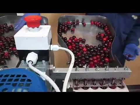 Cherry Pitting machine