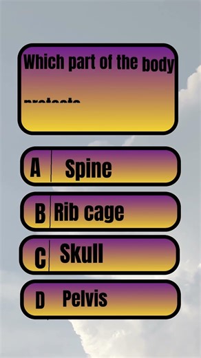 Human Body Quiz 🧠