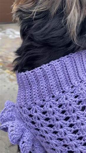Dog Dress Crochet Pattern, PDF Dog Sweater With Ruffles DIY, Small Dogs Costume, Full Video Instant Download - Etsy
