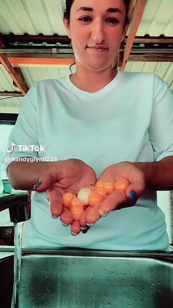 Cooking Turtle Eggs: A Delicious and Unique Recipe