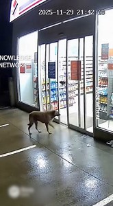 don't lose this video... | Knowledge Network