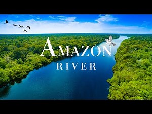 Amazon River | Longest River In The World | Amazon River Stock Video | No Copyright