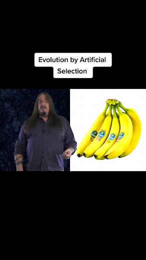 Creationscience101 on TikTok