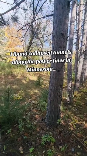 89K views · 10K reactions | Legendary tunnel find | Stringer Med | Facebook