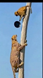 Haahhah 😆 #comedy #funny | Mustafa Yavaş