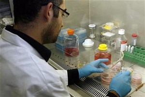 Stem cell therapy can help repair damaged lungs