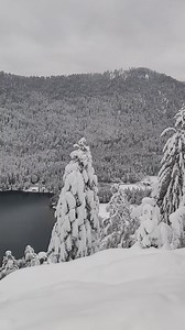 Un petit goût de Canada au Lac de Longemer aujourd'hui par Montagne Trekking !! 😍 | Le Vosgien