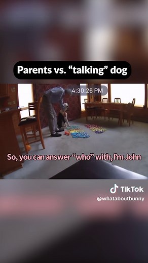 Spring Break Fun with Bunny and Family