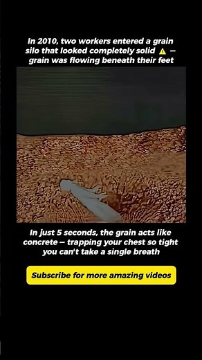 Grain Can Trap You Like Concrete in 5 Seconds ⚠️ — The Physics Behind Silo Deaths