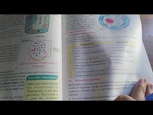 Cells and their Specificity Biology Grade #9 Unit #4 Cells and Tissues KP Syllabus