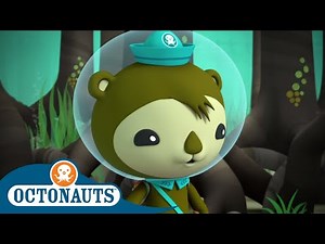 Octonauts - A Mangrove Forest | Cartoons for Kids | Underwater Sea Education