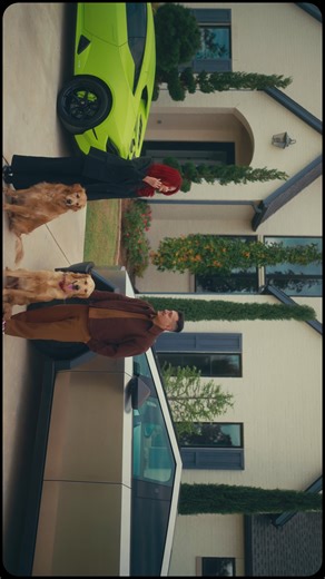 Family Time with Our Beloved Dogs