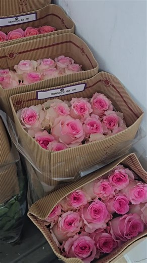 Florería Claudia: Your Local Flower Shop in Houston