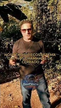 🌿🌎 O Cerrado: um dos biomas mais ricos do planeta. ‪@DaviCienciaForense‬