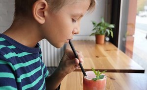 A Demonstration Of How Plants Absorb And Transfer Water Through Capillary Action