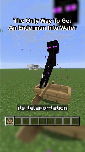 The Only Way to get an Enderman into Water in Minecraft