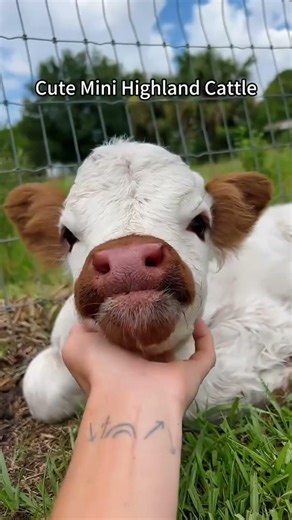 I think my horse is a paid actor from Mars. 👽#shorts #funnyhorse #horsememes #2026 #derp