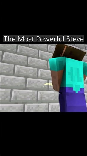 The Most Powerful Steve #minecraft #memes