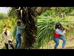 This is what women farm workers are like!!