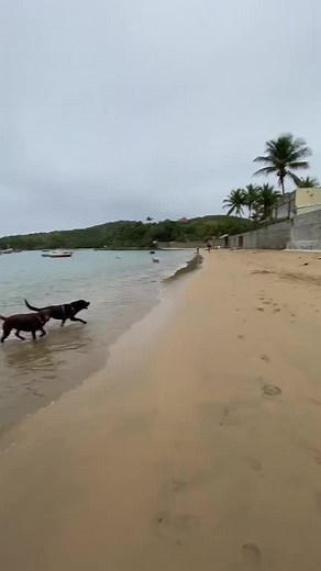 Os vídeos de Cryptomic (@alichagois) com original sound - Cryptomic