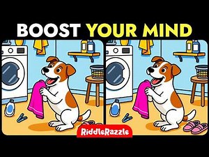 Brain Focus Training | Can You Find All 3 Differences?