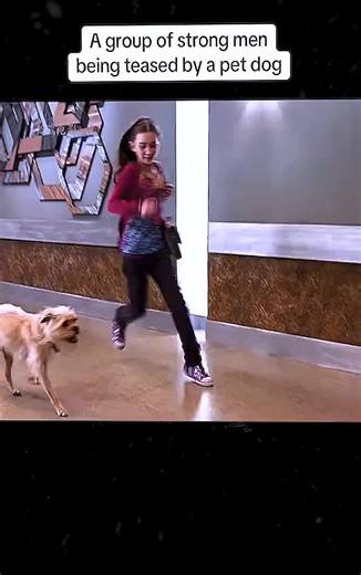 jane convey (@jane.convey)’s videos with original sound - jane convey