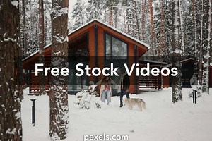 Couples Holiday Videos, Download The BEST Free 4k Stock Video Footage & Couples Holiday HD Video Clips