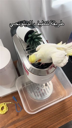 طريقة تنظيف الديلونجي ومطحنة الفيلو اوبس بخطوات بسيطة