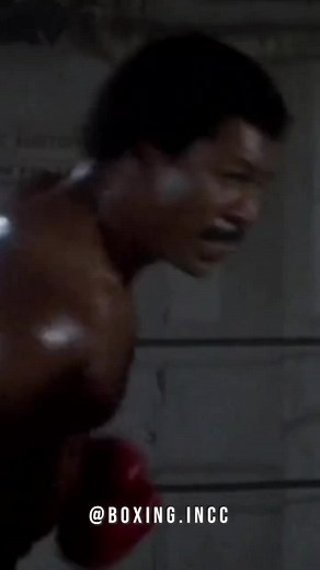 Creed 🇺🇸 #fyp #viral #boxing #creed #rocky