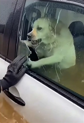 AI-Generated Flooded Car Rescue Simulation