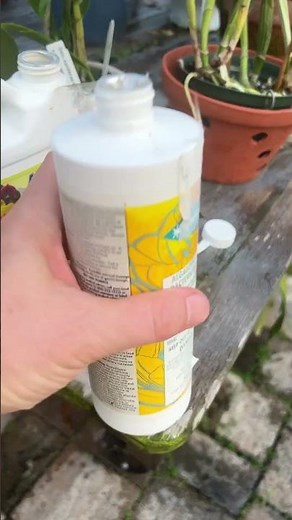 Physan and Megathrive repotting secret