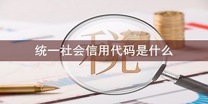 统一社会信用代码是什么-会计网