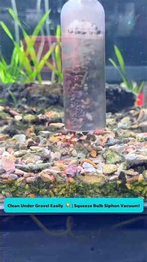 Squeeze Bulb Siphon Cleaner | Bộ Vòi Hút Bóp Bóng Hơi Cho Bể Cá
