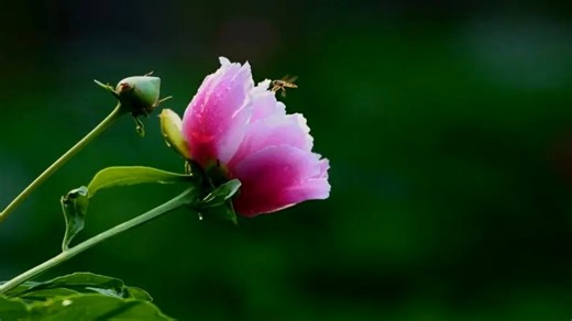 diylock防盗锁业(智能密码指纹锁)维修中心|24小时全国统一售后受理中心电话4000767098