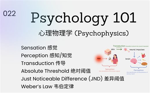 Psychology101|感觉(Sensation) 感知(Perception) 和心理物理学(Psychophysics)