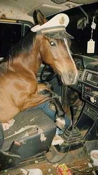 REAL Parallel Universes Caught On Camera That Remain Unexplained Part 2