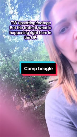 Camp Beagle: Spotlight on Animal Testing Concerns