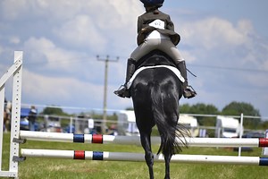 How Safety Stirrups Work (Pros/Cons, Uses, Features, Brands) - Horse Rookie