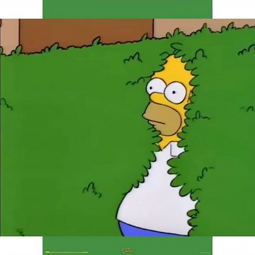 The Simpsons Homer in the Hedge #simpsons #thesimpsons #homersimpson #funny
