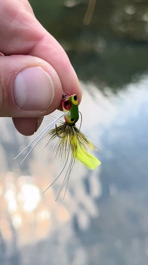 Micro popper. Roll cast. Slow mo release. What else can you ask for? #bassfishing #flyfishing #flyfishingbass #flyfish #flyfishdelawhere #largemouth #largemouthbass #bucketmouth #microbass #bassfishinglife #fishtok #fishing #topwater #fishingtiktoks #simms #perfectmatch #flyfishingforbass #bassfly #bassflyfishing