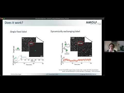 Kristina Ganzinger - DNA-PAINT single-particle tracking - Imaging ONEWORLD