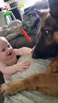 Wonderfully Sweet Moments Of Little Angels #shorts