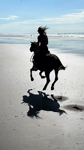 Galloping horses on the beach in Costa Rica…core memory locked in. | Shaun Murray