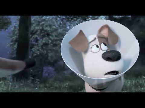 The Secret Life of Pets 2 (2019) - Rooster vs. The Fox