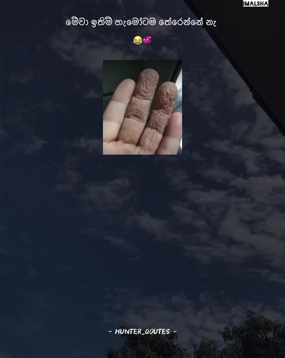 Hamotama Na Hode: Best Hunter Quotes for Status