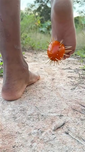 🌵🌵🌵🤣😭😭👟👟😍🥰Introducing the "VitaWear SmartBand," a next-generation wearable gadget🙏