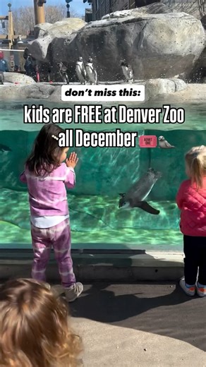 Brittany Howard | Denver Activities & Adventures on Instagram: "Kids are FREE at @denverzoo all December, which feels like the perfect excuse to plan a cozy winter zoo day. 🦒❄️ Free daytime admission for ages 3–15 (you’ll still need to reserve tickets online!). Save + send to a friend who needs an easy December outing 📩"